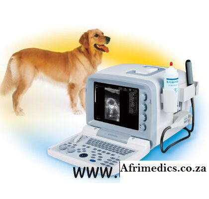1a Small Animal ULTRASOUND SCANNER