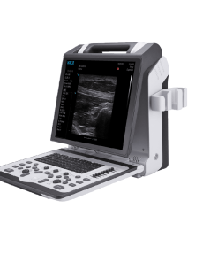 2100-MSK-png-247x296 Apogee 2100 Ultrasound Machine
