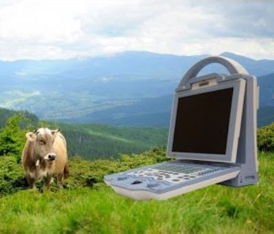 2b KX5600V Vet Ultrasound Machine