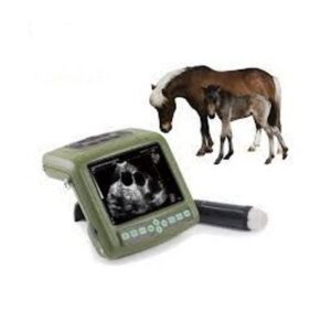 3 Full digital Mechanical Sector ultrasonic diagnostic instrument